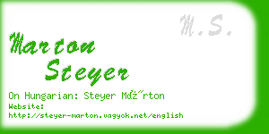 marton steyer business card